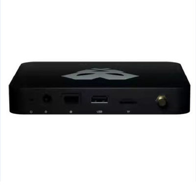 HNT माइनर हीलियम पैंथर x2 हॉटस्पॉट AU915 EU868 CN470
